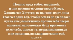 Бог сражается за вас Урок 5 Субботняя школа с Алехандро Буйоном
