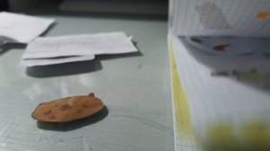 распоковка бумажных колекций