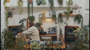 Explorations from All Regions for All Ears with Bongo Joe Records