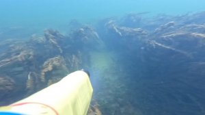 Крупная щука