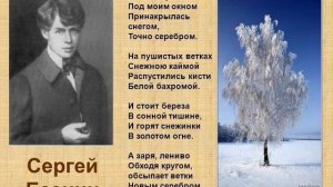 Белая берёза...(Стихи С.Есенина)