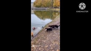 ты сафсем ебо-₽+₽+₽+₽+₽+_+