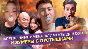 Вас могут оштрафовать за мат, обложить алиментами на кота и заставить сменить имя -  новый мир...