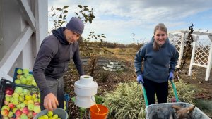 НАШИ ВЫХОДНЫЕ В ДЕРЕВЕНЬКЕ/УБОРКА УЧАСТКА/ЯБЛОЧНЫЙ СОК