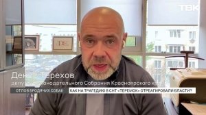 Обсуждение эвтаназии бродячих собак разгорелось в Красноярске после гибели 10-летнего мальчика