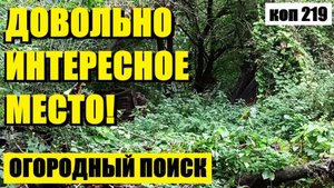 или МЕСТО НЕ ПЕРЕСТАЁТ УДИВЛЯТЬ НАХОДКАМИ. коп 219