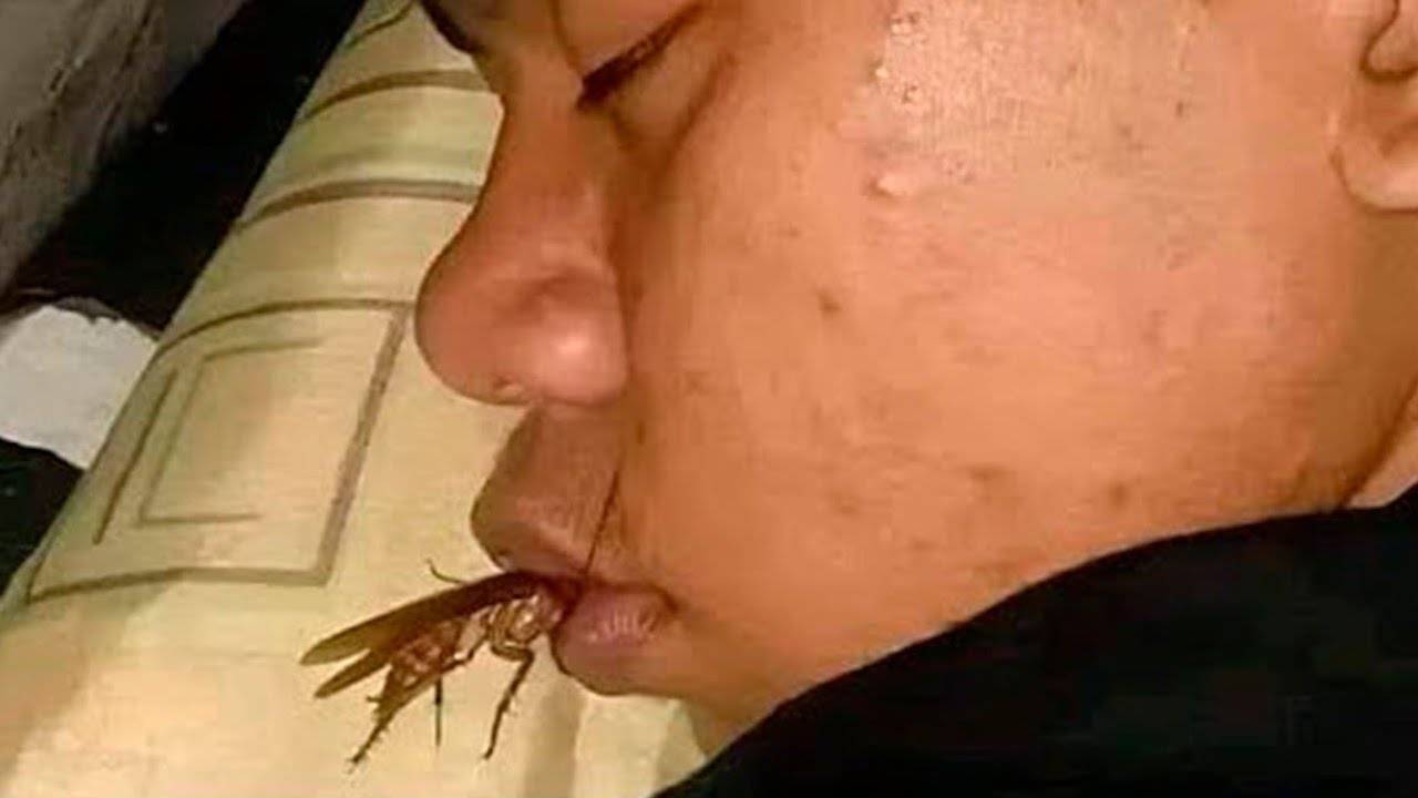 ЛУЧШИЕ ПРИКОЛЫ И МЕМЫ (ПОПРОБУЙ НЕ ЗАСМЕЯТЬСЯ ЧЕЛЛЕНДЖ) — САМАЯ СМЕШНАЯ ПОДБОРКА #144