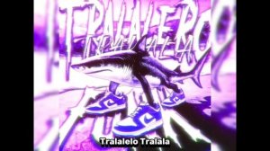 FUNK - итальянские животные