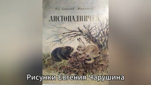 Его зверятами были очарованы все - памяти художника и писателя Евгения Чарушина