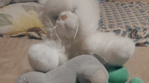 БЕЛЫЙ КОТ ВЫКИНУЛ ДЭНИСА И КРИПОНЮ НО ЗАЧЕМ?