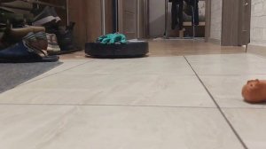 Гонщик нелегальный