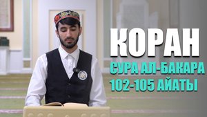 Коран в исполнении студента МИИ | Сура 2 ал-Бакара 102-105 айаты