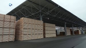 В Петрозаводске возведут лесопильный завод