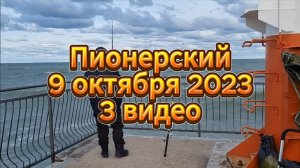 Пионерский9 октября 2023 3 видео
