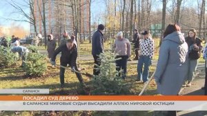 В Саранске мировые судьи высадили Аллею мировой юстиции