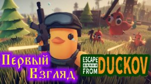Escape from Duckov Первй взгляд