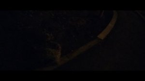 Мы идём гулять с собакой! | 10-авг-2024