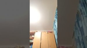 первый день жима штанги