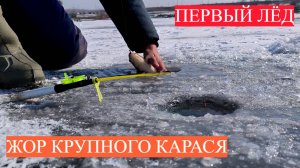 ПЕРВЫЙ ЛЁД! ЖОР КРУПНОГО КАРАСЯ НА МОРМЫШКУ! ЗИМНЯЯ РЫБАЛКА.