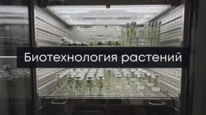 Биотехнология растений