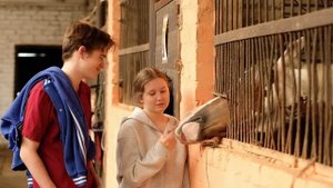 Ветер перемен