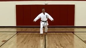 Basic Karate Kicks - Mawashigeri