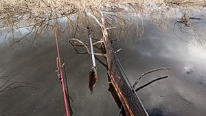 Завершение сезона ловли карася. Вода холодная - клёв неважный