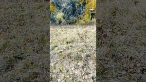 водопады часть 4