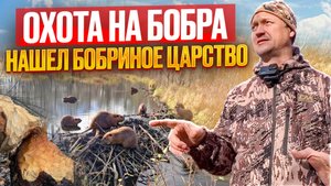 ОХОТА НА БОБРА 2025 // ПОИСК МЕСТ ОБИТАНИЯ // НАШЕЛ БОБРИНОЕ ЭЛЬДОРАДО