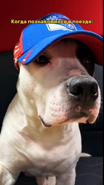 Знакомство в поезде. смотреть онлайн