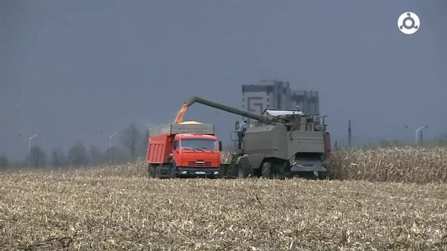 Специальный репортаж. Самые значимые изменения в аграрной сфере региона