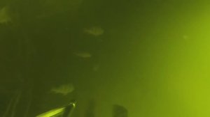 Подводная охота осенью 2025! Трофей есть 👍, очень много рыбы!