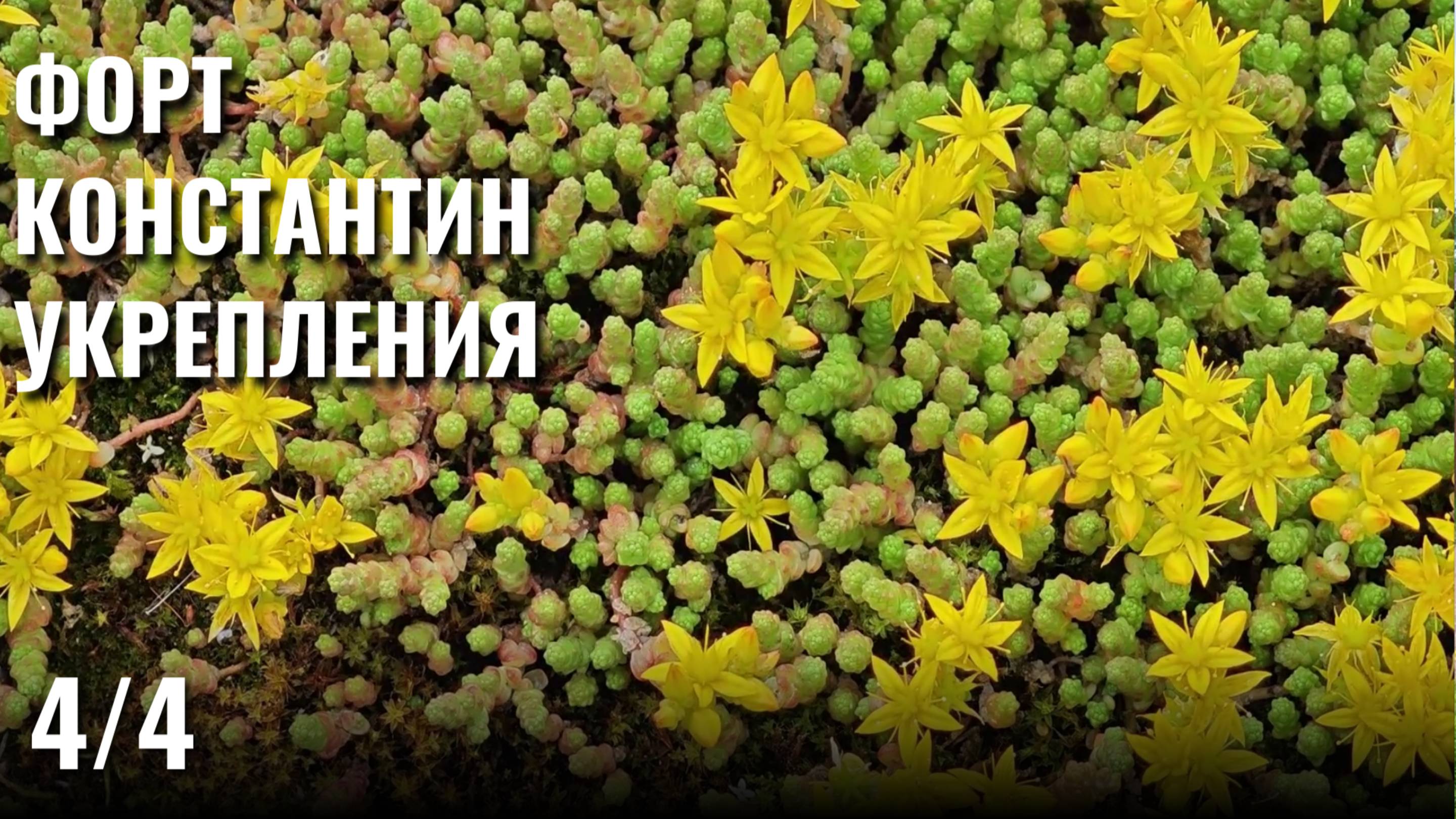 Укрепления форта, галоп по Питеру, дорога домой и дикая усталость - Форт Константин - Питер 4/4