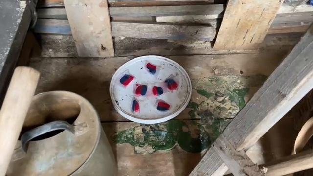 Гремучая смесь, отрава от крыс и мышей. Продолжает работать...