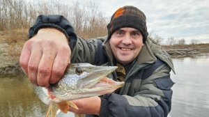 ЩУКИ ИЗОРВАЛИ ВСЕ ПРИМАНКИ