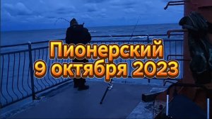 Пионерский 9 октября 2023