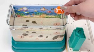 Развивающие игрушки. Игровые наборы для развития детей.  Для малышей мультики. Игры для детей