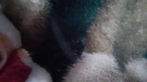 фильм гусь 2 сезон 4 серия 1 часть🪿