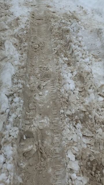 №219. Двор Сибирская 73. 12 марта 2025 г., 13:27:43. VID_20250312_132710727