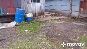 допролас то малины