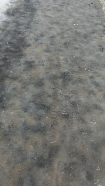 №231. ул. Полины Осипенко. 13 марта 2025 г., 9:57:46. VID_20250313_095633475