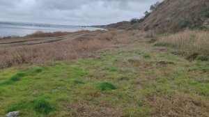 Спуск к заливу 27.10.2025