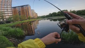 ПЛОТВА VS ПОПЛАПОПЕР😏 #спиннинг