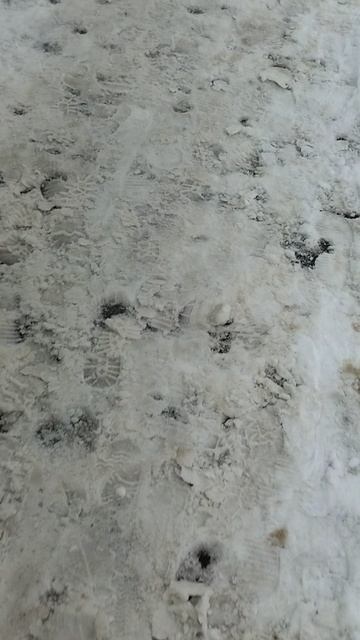 №220. ул. Полины Осипенко. 12 марта 2025 г., 13:33:41. VID_20250312_133210514