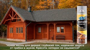 Морилка для дерева ТМ SKYRON