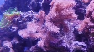 Москвариум и окончание первго дня в Москве. Наслаждайтесь просмотром видео о водных обитателях🐠🐟🐚