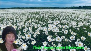 Зачем вы,девушки,красивых любите