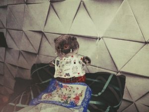 Стрим с басиком ❤️🇷🇺