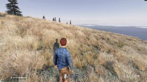 Новый мир - новая жизнь | DayZ NEW WORLD АТМОСФЕРНОЕ ВЫЖИВАНИЕ #survival #dayz