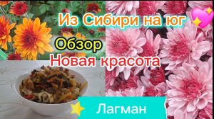 27-10-2025 Переезд из Сибири на юг 💖/Купили дом на юге/Готовим лагман/обзор/саженцы/цветы/виноград/